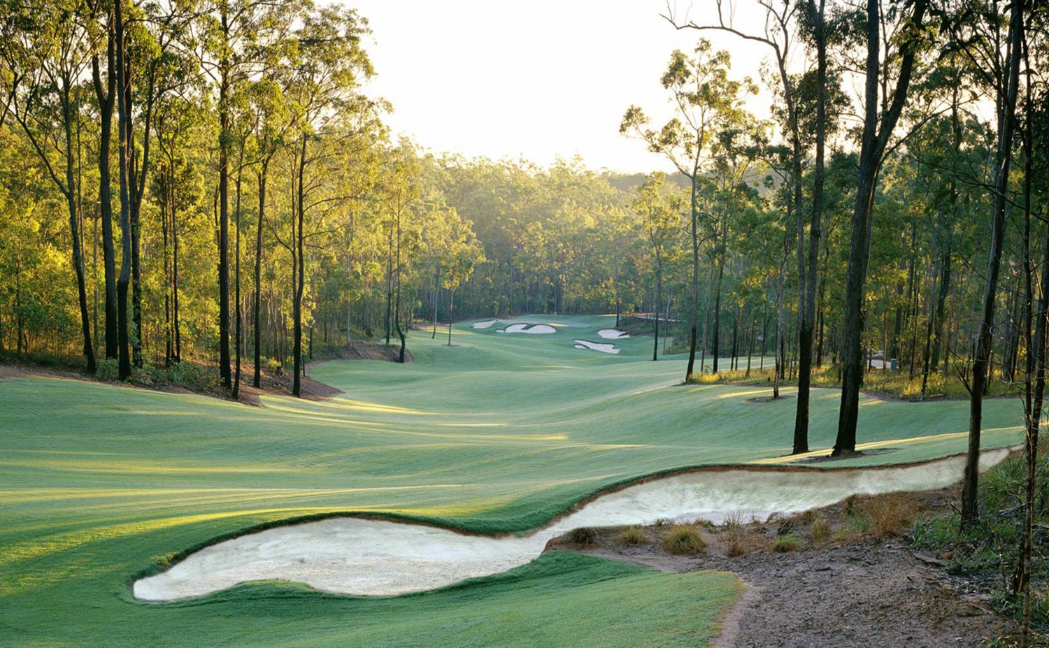 The Golf Travel Agency Gold Coast Golf Holidays